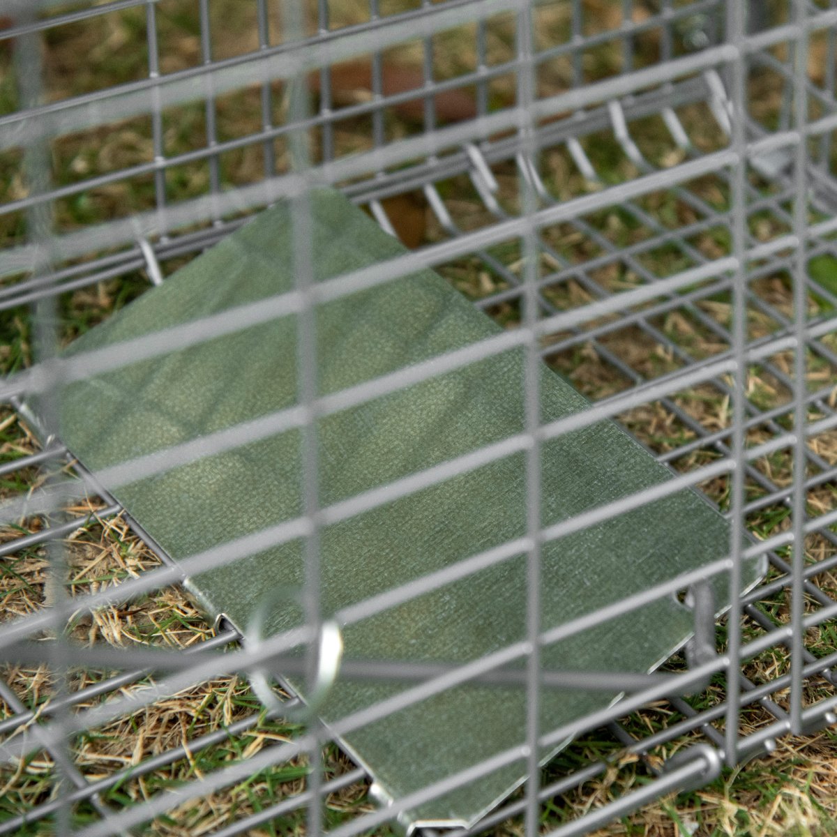 Armadilha para Animais Vivos Dobrável 66x24x30,5 cm Gaiola de Captura com Porta e Alça - Image 9